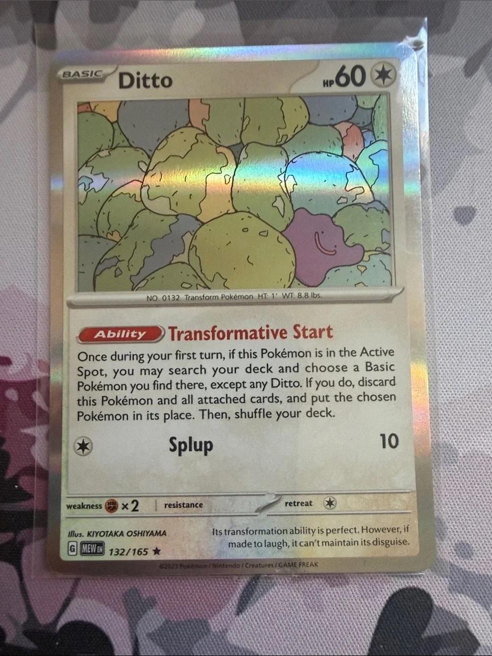 Pokemon fun ditto